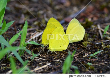 吸收水的加班 5489969