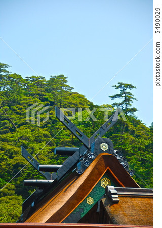 New roof of Izumo Taisha / main shrine (chan-painted) (Taisha-cho, Izumo City, Shimane Prefecture) New roof of Izumo Taisha / main shrine (chan-painted) (Taisha-cho, Izumo City, Shimane Prefecture) 5490029
