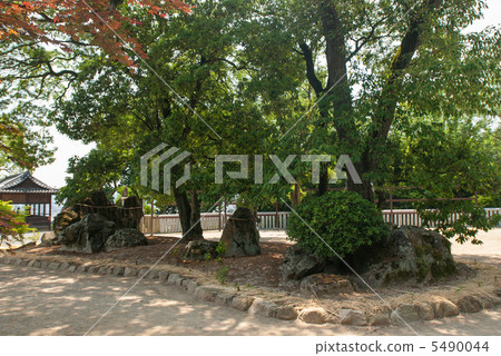 Achi Shrine Tenzu石柱的Tsuruma斷層 Achi Shrine Tenzu石柱的Tsuruma斷層 5490044