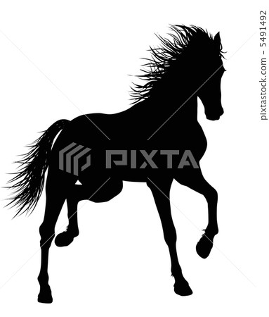 Vector horse Vector horse 5491492