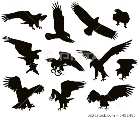 Eagles Eagles 5491495