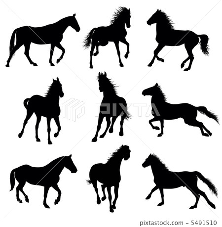 Vector horses 5491510