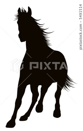 Vector horse Vector horse 5491514