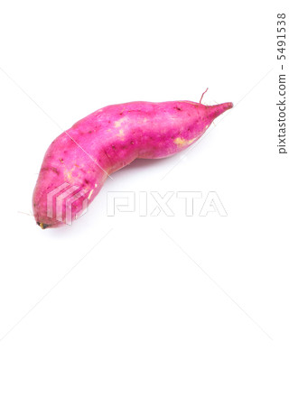 sweet potato sweet potato 5491538