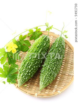 戈雅 戈雅 5491730