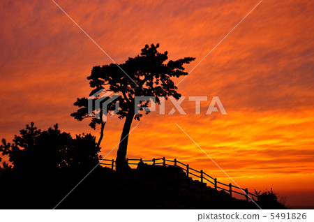 Izu Konagisaki sunset 5491826