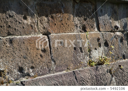 Southwest war bullet trace 5492106