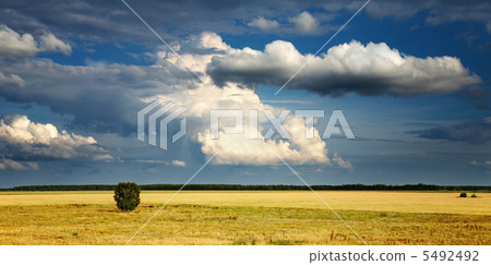 Landscape with cloudy sky 5492492