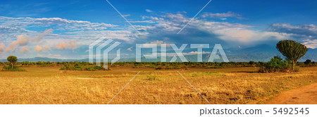 African savanna African savanna 5492545