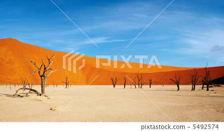 Namib Desert 5492574