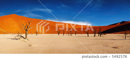 Namib Desert, Sossusvlei, Namibia 5492576