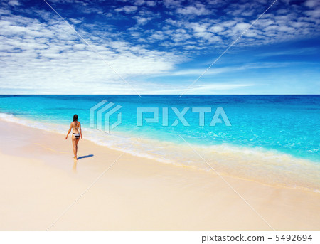 Tropical beach Tropical beach 5492694