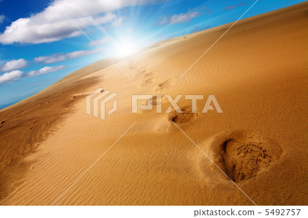 Footprints on sand dune Footprints on sand dune 5492757