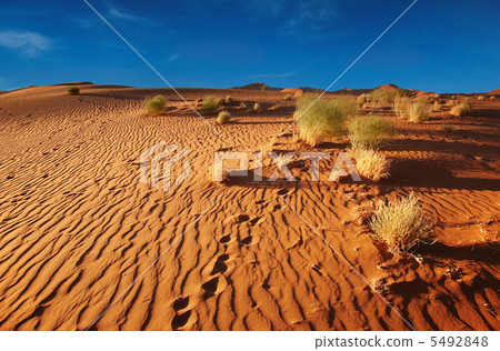 Namib Desert 5492848
