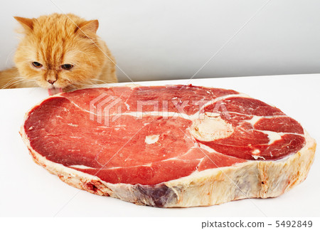 Cat reach the meat 5492849