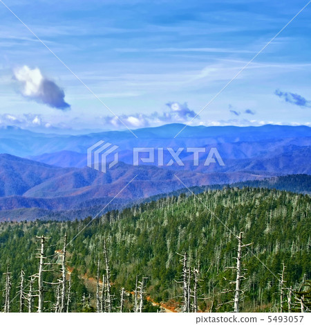 Great Smoky Mountains, USA 5493057