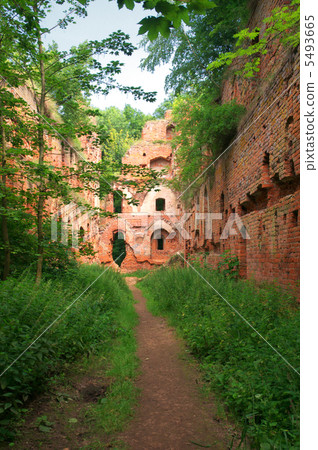 Balga - ruins of medieval castle of the Teutonic knights. Kalini 5493665