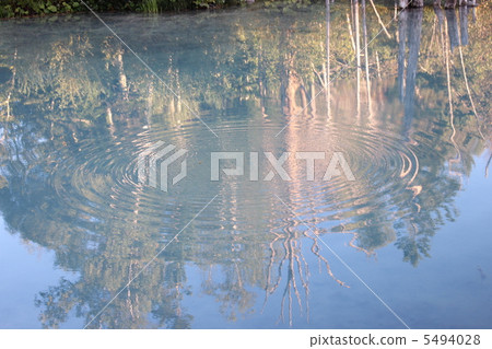 River scenery 5494028