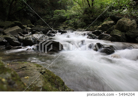 沖繩縣國頭村的大川川 5494204
