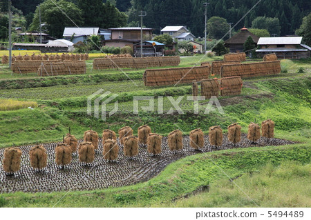 Village at Harvest 5494489