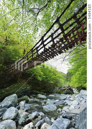 Oku Iya Double Kazura Bridge Oku Iya Double Kazura Bridge 5494585