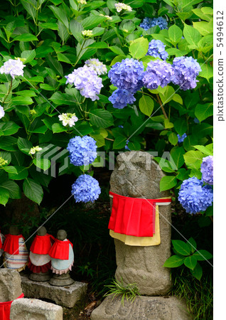 Hydrangea of Yada Temple and Jizo Takashi 5494612