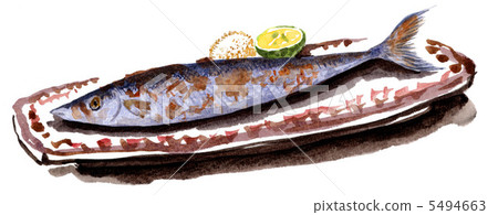 saury, pacific saury, saury pike 5494663