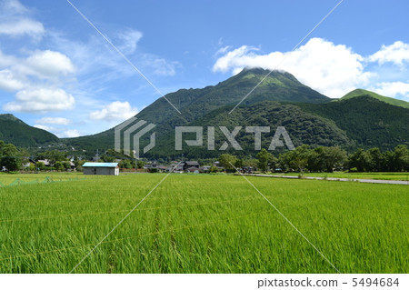 鄉村景觀 鄉村景觀 5494684