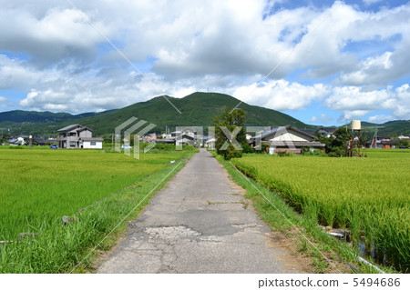鄉村景觀 5494686