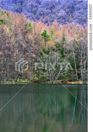 Morning pond in early spring 5495007