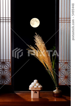 觀月 觀月 5495448