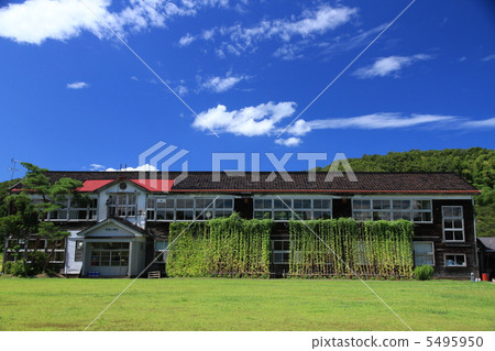 Green curtain of wooden school building 5495950