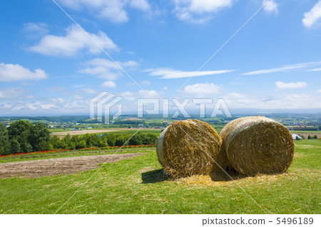 Hay of the hill 5496189