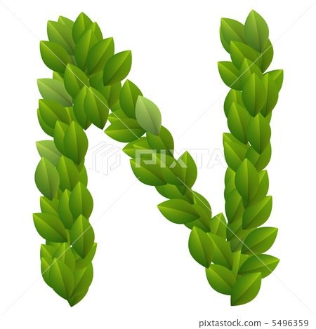 Letter N of green leaves alphabet Letter N of green leaves alphabet 5496359