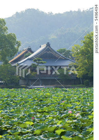 Odai-ji Temple from Oosawa Pond 5496494