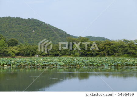Owani Oaisawa pond 5496499