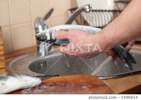 Cleaning a sea bass 5496654