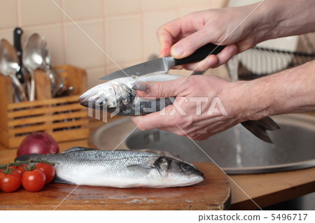 Cleaning a sea bass 5496717