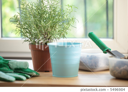 Potting tools 5496984