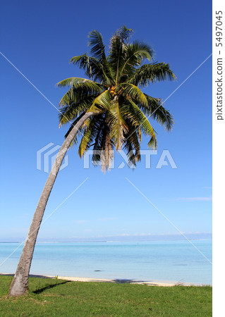 Tahiti 5497045