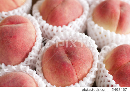 桃子在網上 桃子在網上 5498467