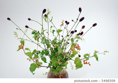 Juzasango and Akira Akira 5498509