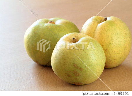 梨珍珠球 梨珍珠球 5499391