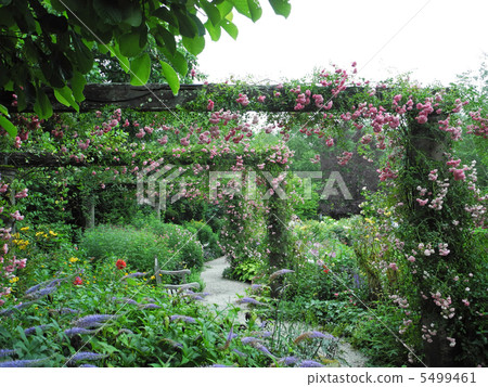 多蘿西帕金斯 多蘿西帕金斯 5499461