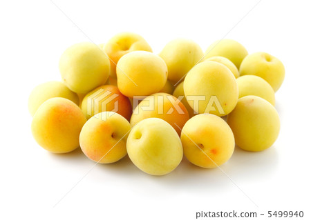 Minami Takane 5499940