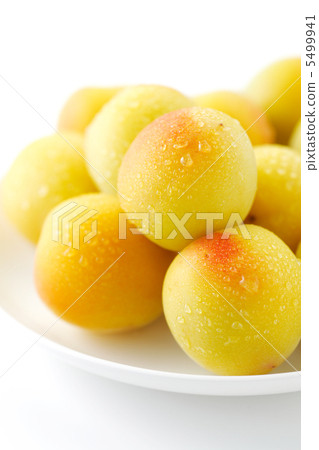 Minami Takane 5499941