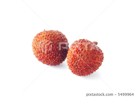 Litchi 5499964
