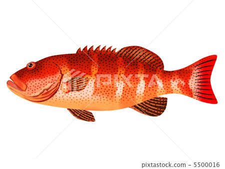 Akashin mebye Akashin mebye 5500016