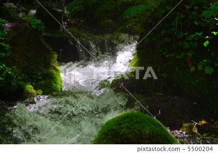 秋田縣鳥美準國立公園Motoyuki洪水 5500204