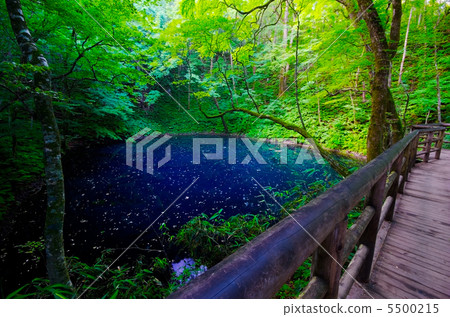 Twelve Lakes, World Heritage Shirakami Mountains, Aomori Prefecture 5500215